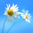 ���� ����, ����� - ��������� 28 ���� 2025 � ������ ������ ��������