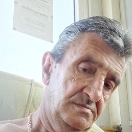 , 61, 