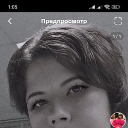 ���� ���������, �����, 41 ��� - ��������� 11 ������� 2025