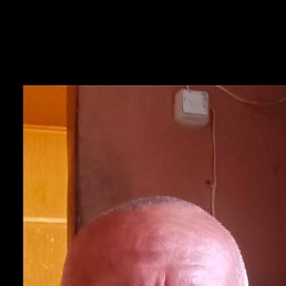 ������, 48 ���, ����