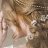  Wildfox, , 25  -  25  2024