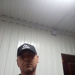 ������, 48 ���, �������