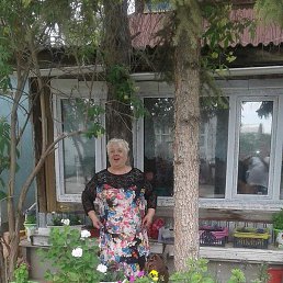 �����, ���������, 72 ����