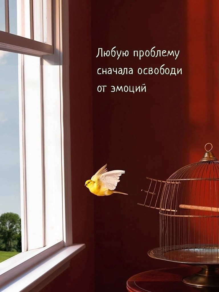   - 8  2025  21:57