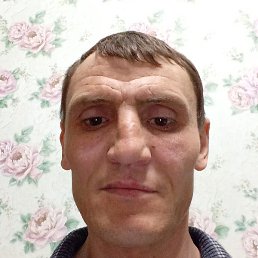 , , 41 