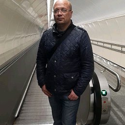 ���� ������, �����, 46 ��� - ��������� 14 ��� 2024