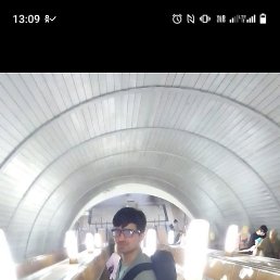 , 26, 