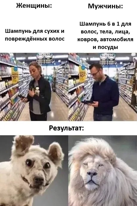 ���� ��� ���� - 13 ������ 2026 � 15:32