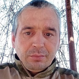 ������, ������, 41 ���