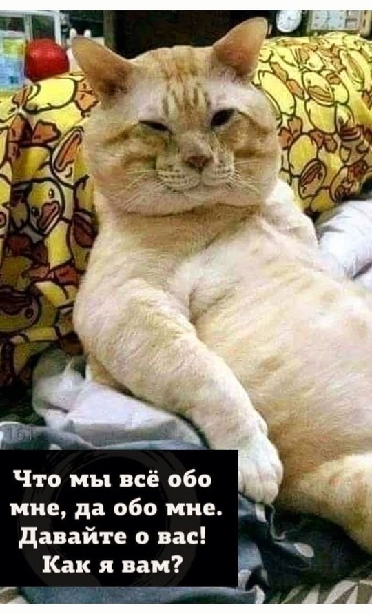   - 18  2025  12:43