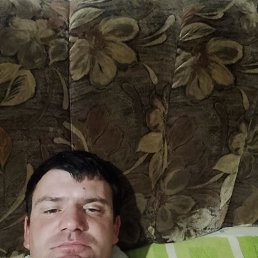 , 66, 