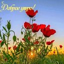 ���� ����, ������, 43 ���� - ��������� 30 ���� 2026 � ������ ���� ����������