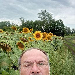 , 65, 