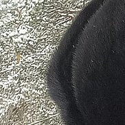 �����, 48 ���, ����