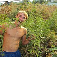 ������, 40 ���, ������-���