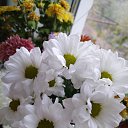 ���� �������, ���� - ��������� 30 ������� 2025 � ������ ������ ��������