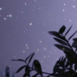 �������, ��������, 37 ���