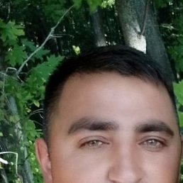 �����, ������, 40 ���