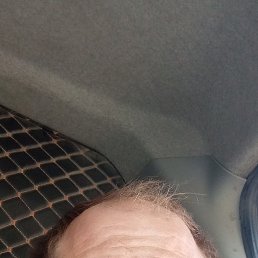 , 32, 
