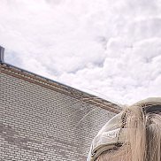, 18 , 