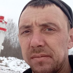 ����, �������, 40 ���