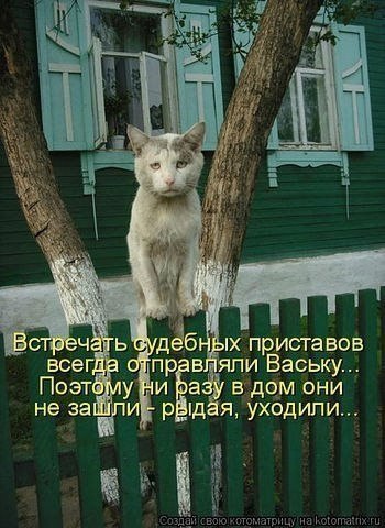  ,  !?  !  !     .  ,  ,   ...