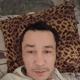 , 40, -