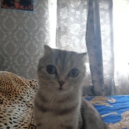 ���� ���������, ��������, 53 ���� - ��������� 23 ����� 2024