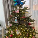 ���� ������, ������, 58 ��� - ��������� 10 ������ 2024 � ������ ���� ����������