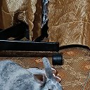 ���� ������, ������������, 56 ��� - ��������� 8 ������ 2024 � ������ ���� ����������