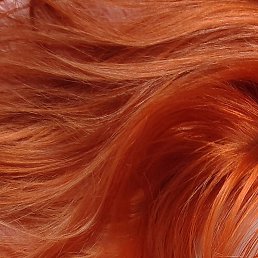 �����, �����-���������, 49 ���