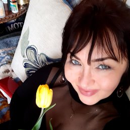, 48, 