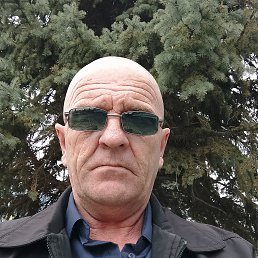 , 55 , 