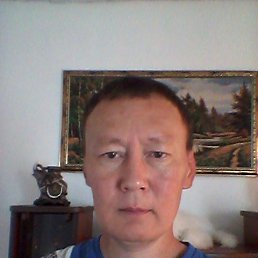 , 44, 