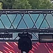 ���������, 52 ����, �����������