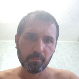 , 44 , 