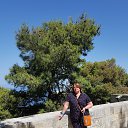 ������ �� ������� ���� ����������