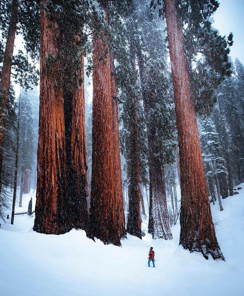 ��o��� ��� ����������� ���� ���o.������ ������� �� �������e -�� �������e � ���po���...