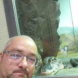 Dima, 44 , 