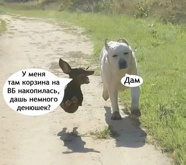  ..  ! - 2
