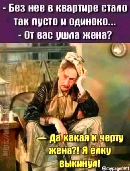   ))