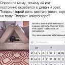 ���� �����, �����-��������� - ��������� 30 ������� 2025 � ������ ������ ��������