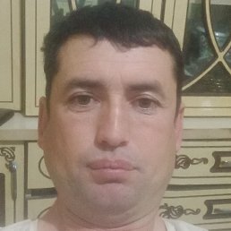 ����, �����, 42 ����