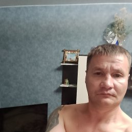 �����, 41 ���, ����