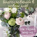 ���� ������, �������� - ��������� 3 ������� 2026 � ������ ������ ��������