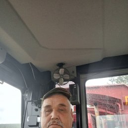  , 51, 