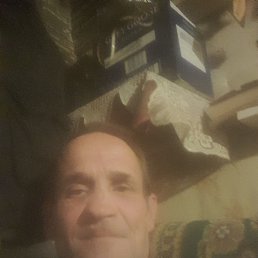 , 53 , -