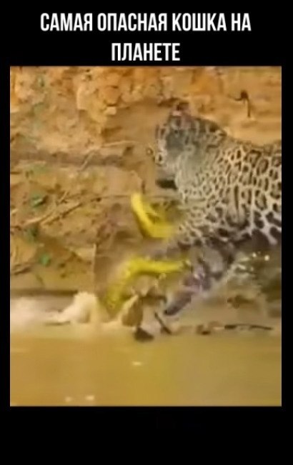 � ����� ������ ����� �� ������