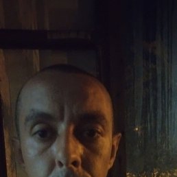, 33, 