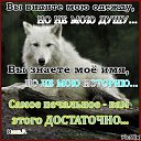 ���� ������, ������, 39 ��� - ��������� 20 ����� 2026